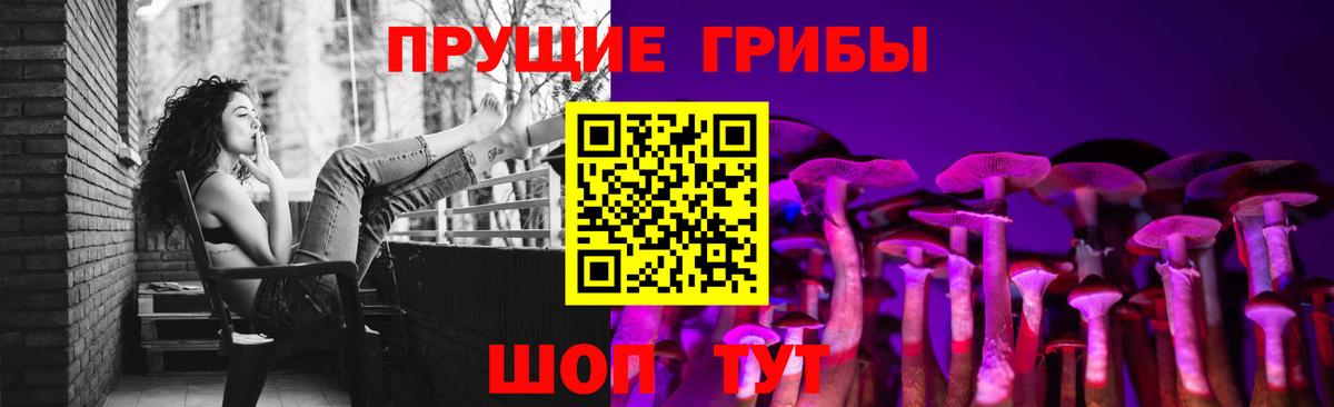 Псилоцибиновые грибы Cubensis  Псилоцибиновые грибы Cubensis  Барабинск  Вход с VPN 